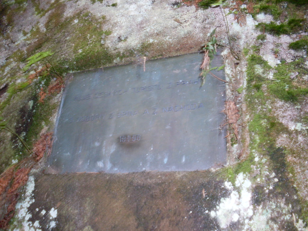 SDC13218