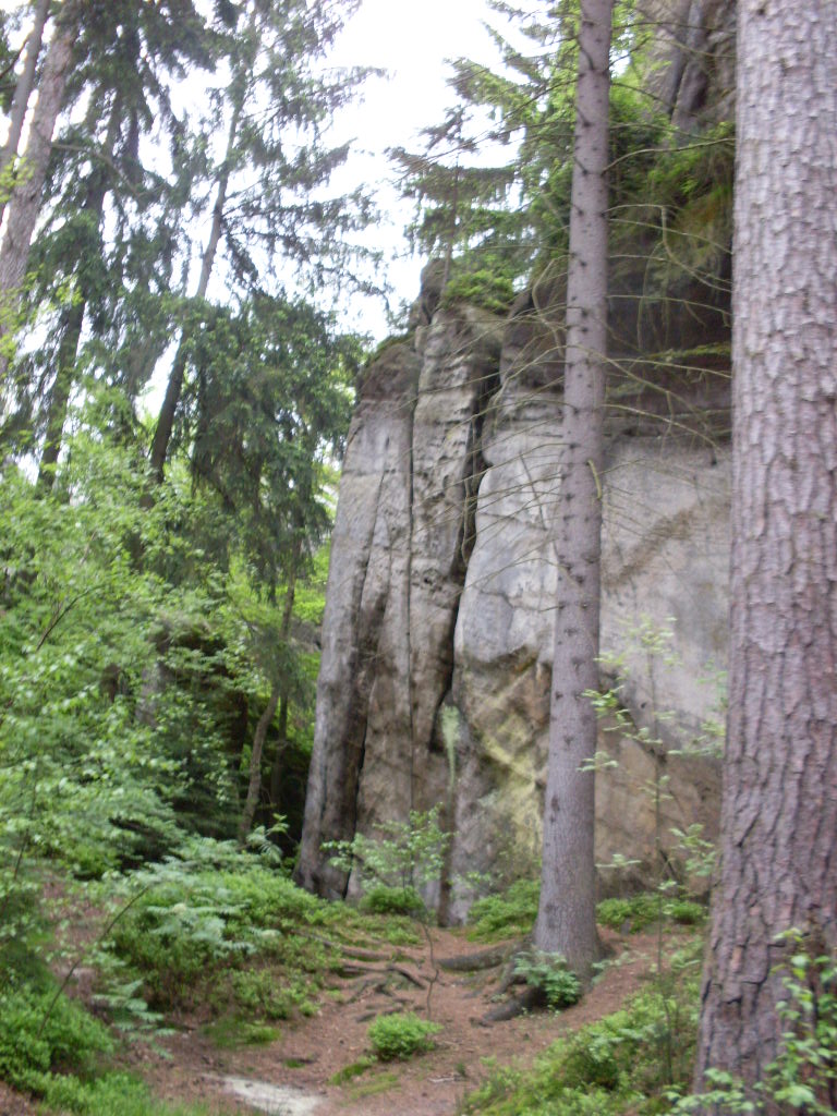 SDC13225