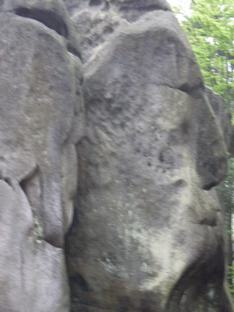 SDC13237