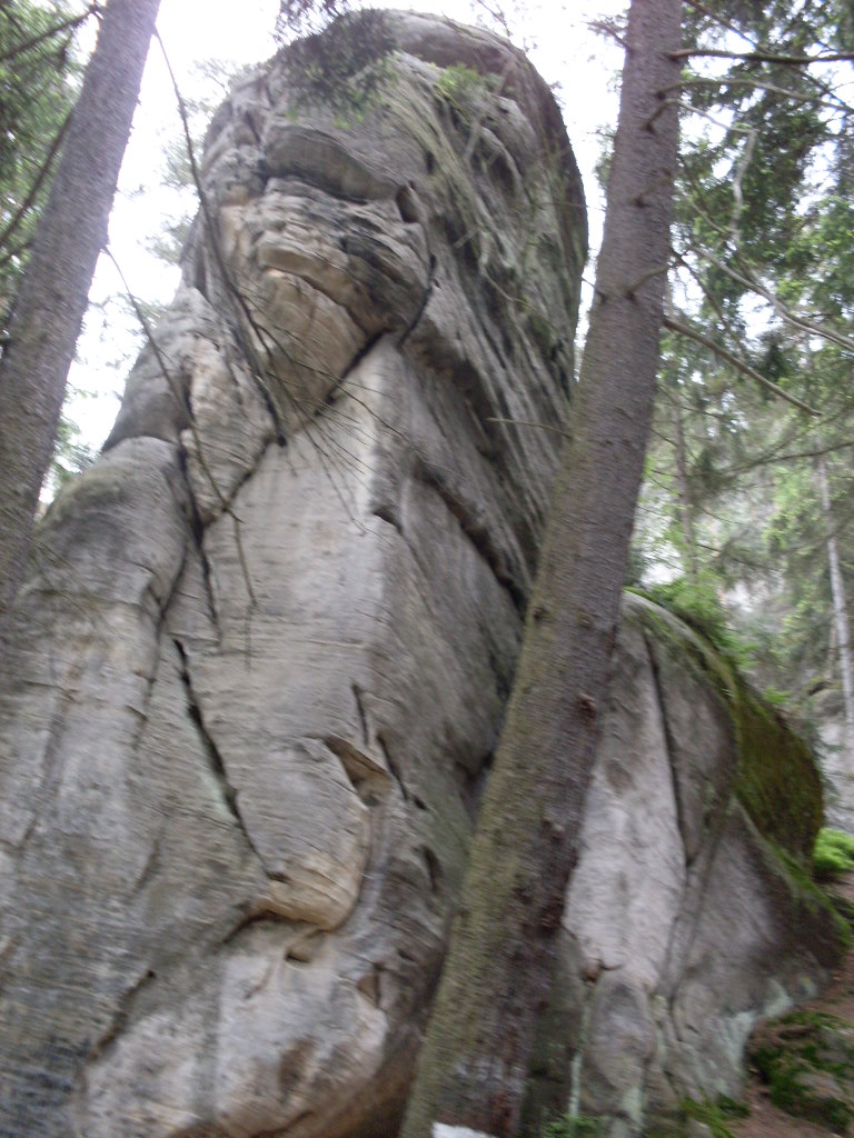 SDC13241