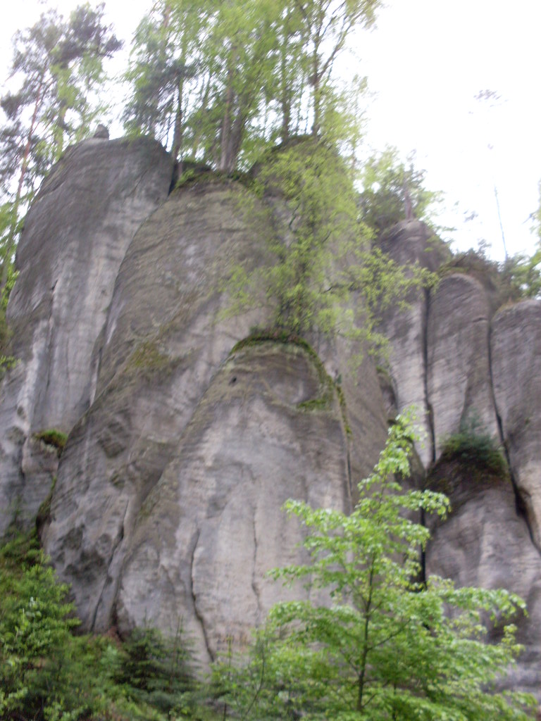 SDC13256