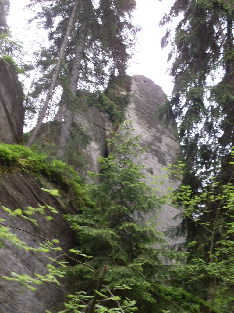 SDC13276