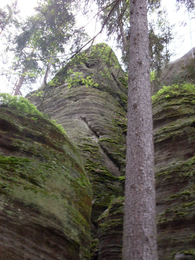SDC13332