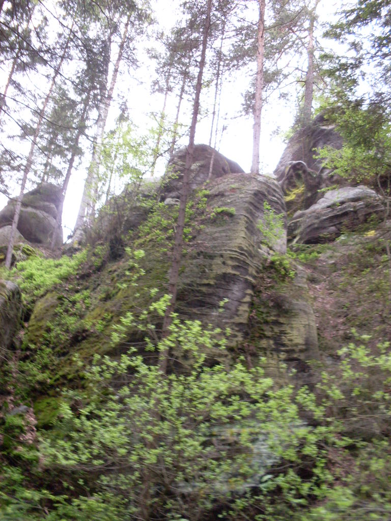 SDC13339