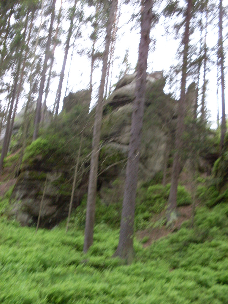 SDC13342