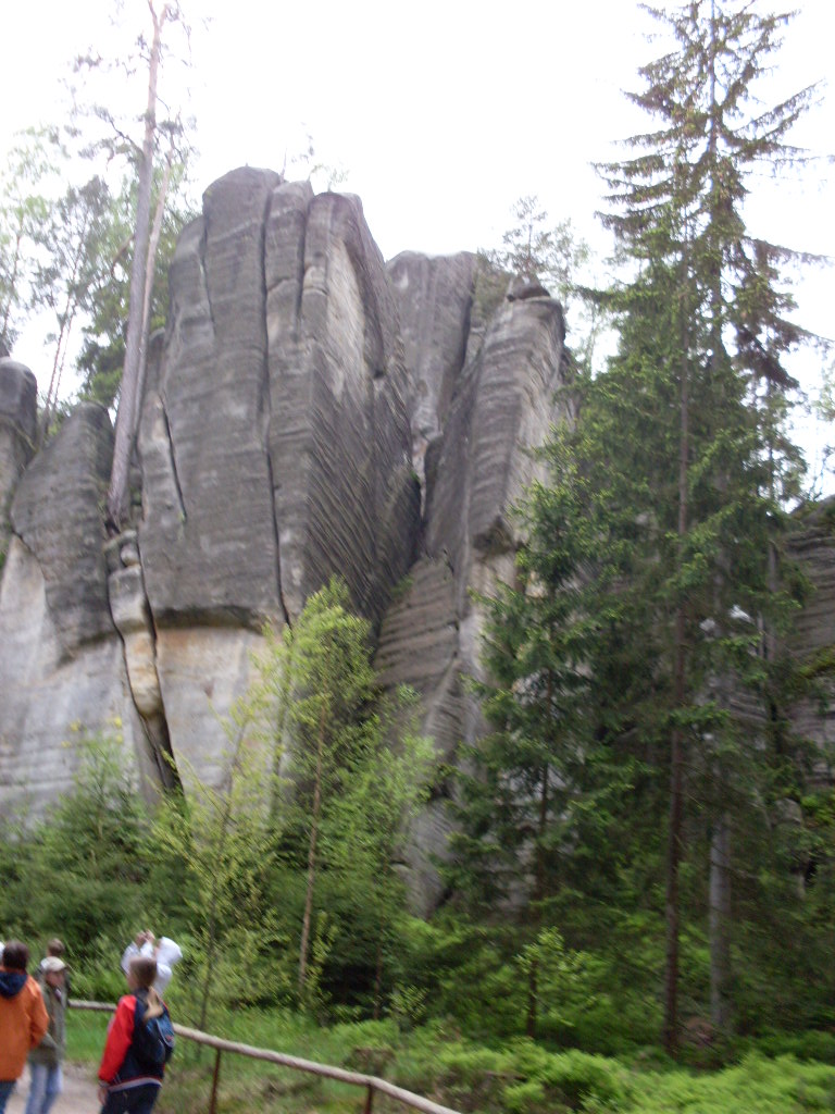 SDC13345