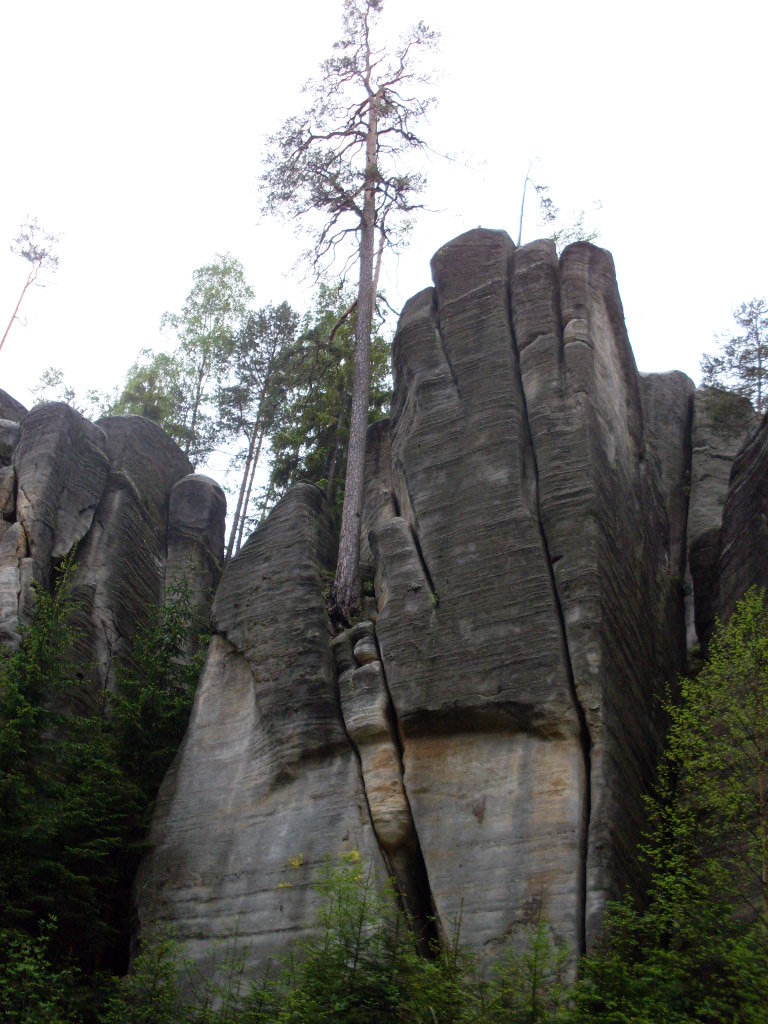 SDC13349
