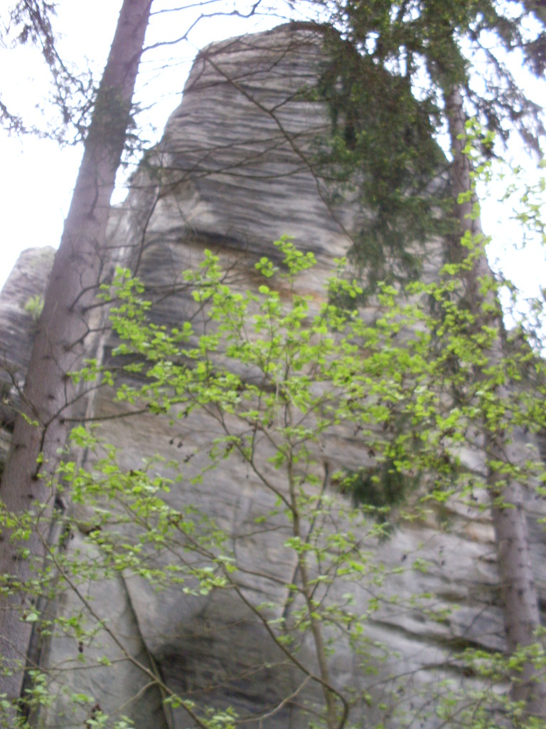 SDC13356