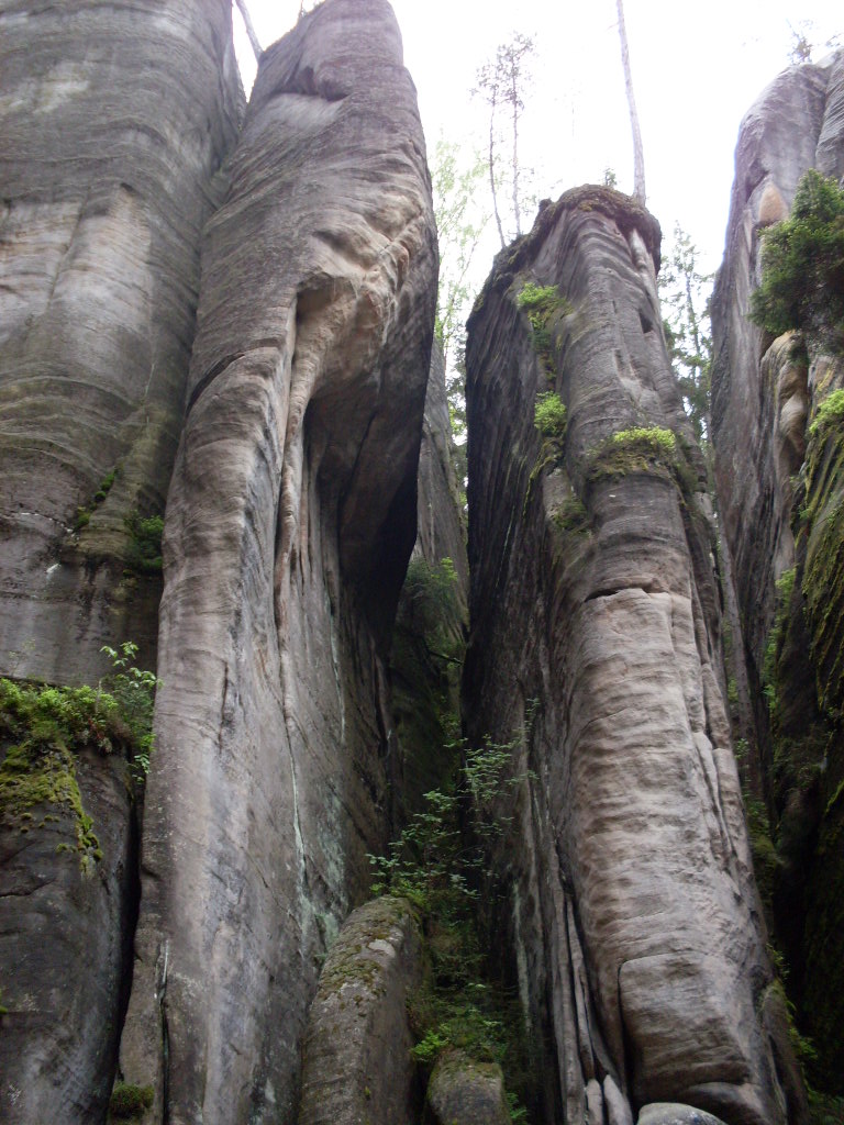 SDC13378