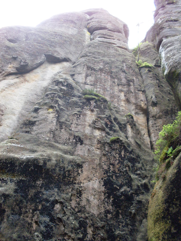 SDC13406