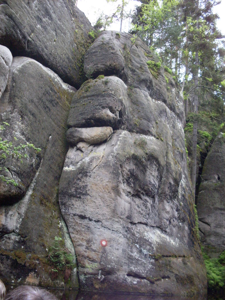 SDC13616