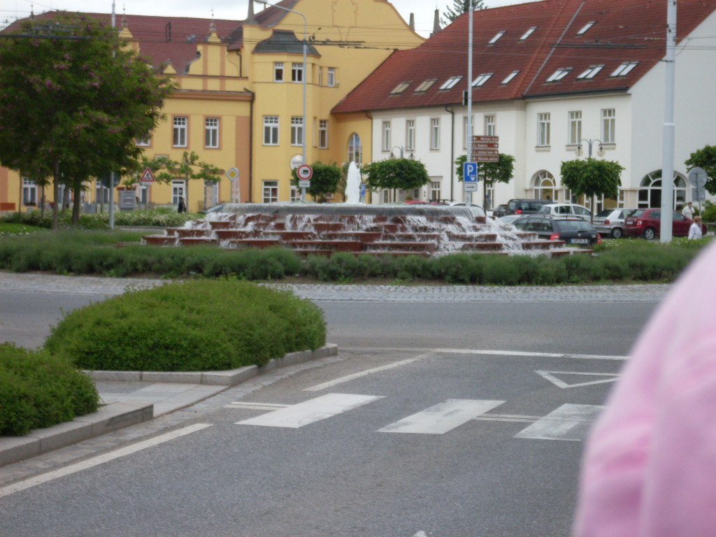 SDC13644