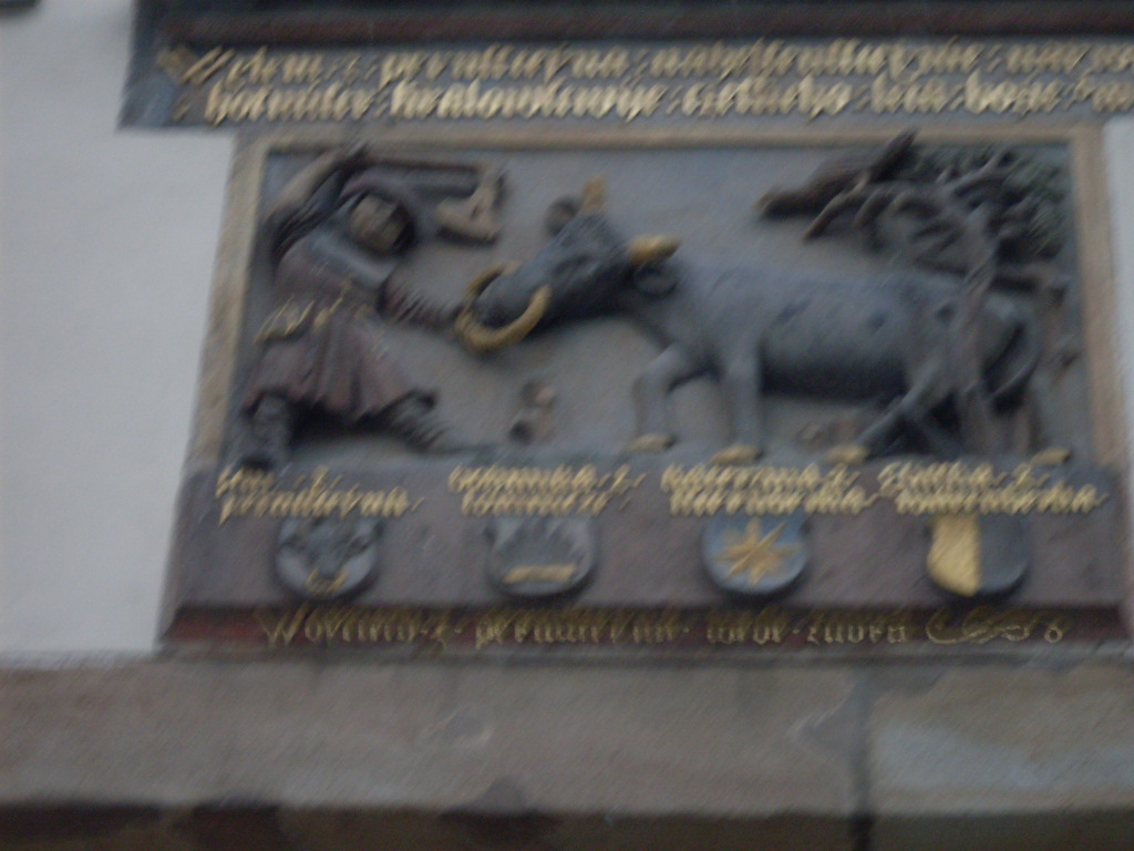 SDC13681