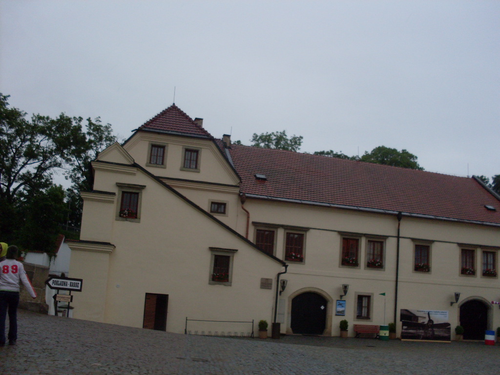 SDC13687