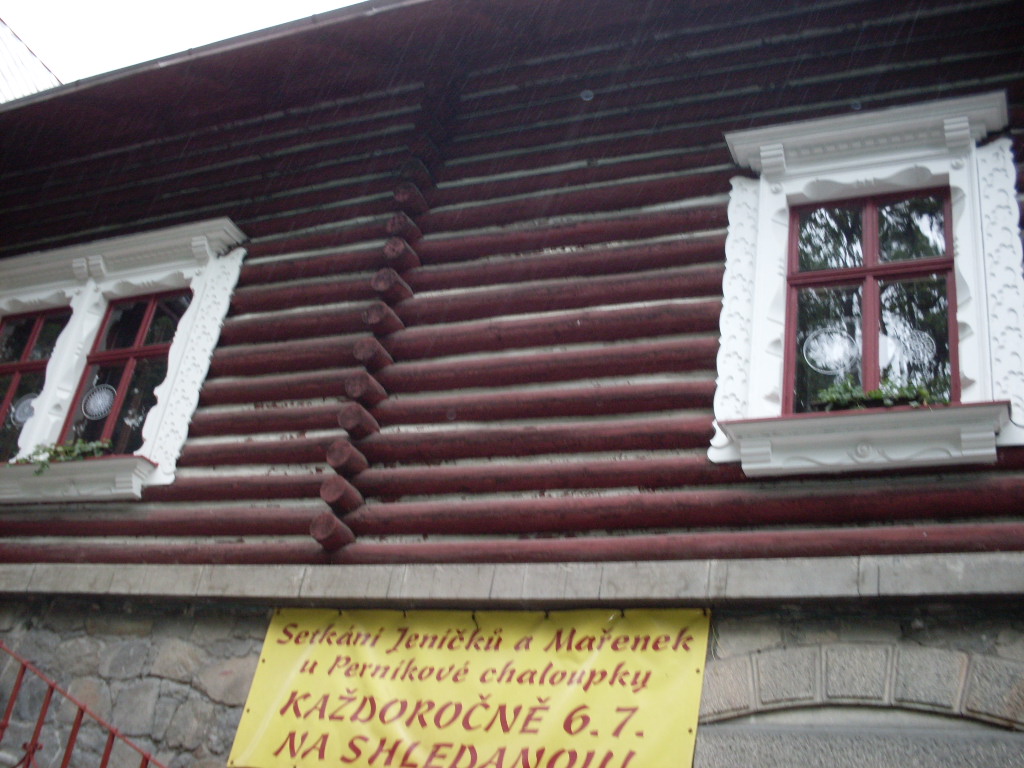 SDC13911