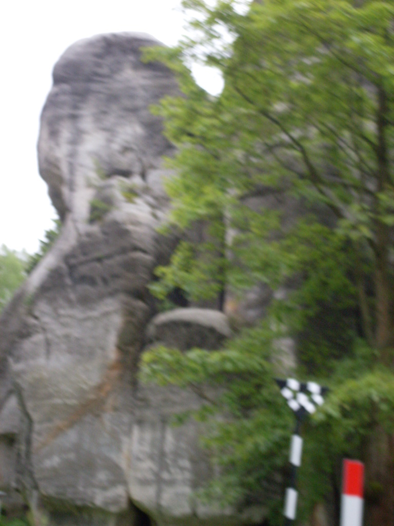 SDC13198